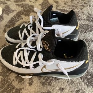 Lebron James 17 low basketball sneaker